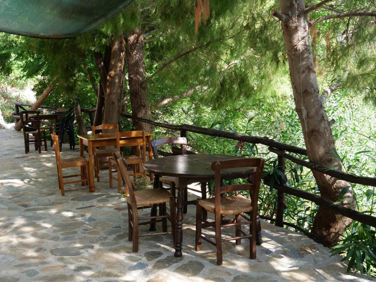 Sisaion Suites - Live The Cretan Hospitality Metokhion Apisiana エクステリア 写真